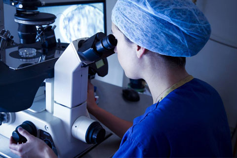 Doctorado (PhD) en Economía