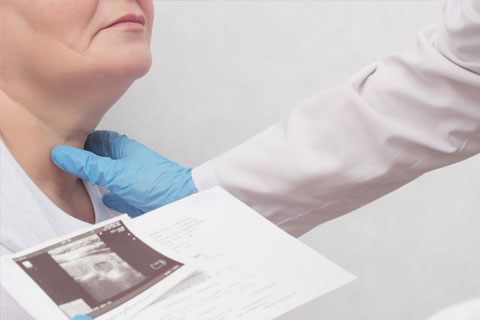 Spécialisation en Endocrinologie